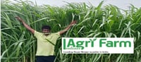 మనీ: ఈ బిజినెస్ తో రైతుకు కాసుల వర్షమే..!